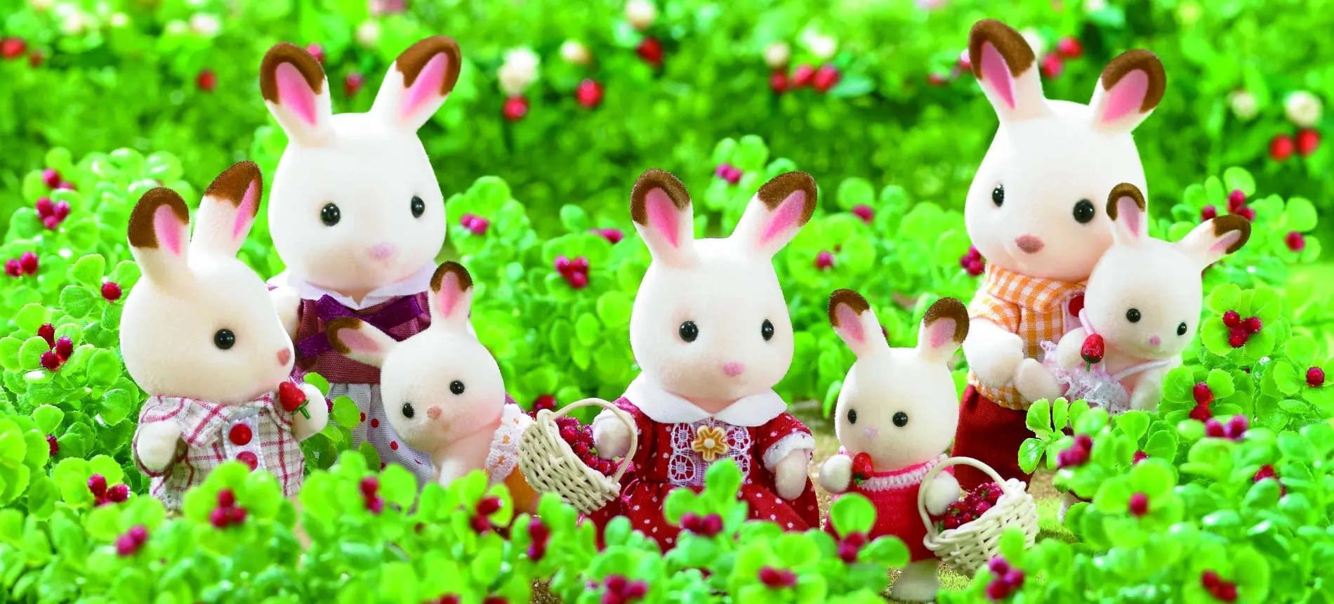 Meet the Chocolate Rabbit Family! 